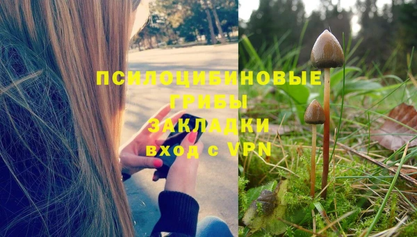 mdpv Арсеньев