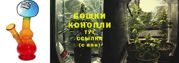 mdpv Арсеньев