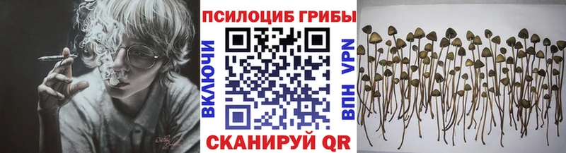 Псилоцибиновые грибы мухоморы  Купить где  Елец 