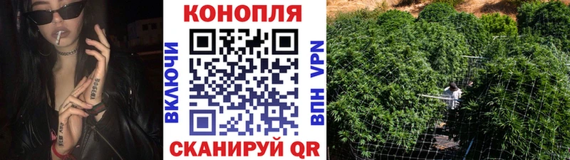 Конопля ГИДРОПОН  Купить закладки  Елец 